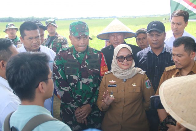 IMG-20250407-WA0081