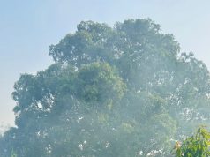Bupati Lampung Timur Tinjau Bendungan dan Jaringan Irigasi Way Kawat, Siapkan Rekayasa Irigasi untuk Tingkatkan Produktivitas Pertanian