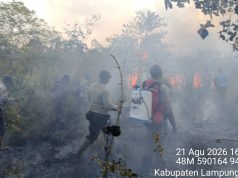 Kepala Balai TNWK Duga Kebakaran di Way Kambas Sengaja