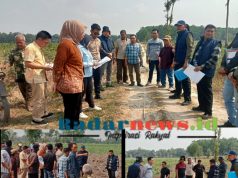Sengketa Lahan 3,7 Hektar di Terusan Nunyai, PN Gunung Sugih Gelar Sidang Lapangan yang Kondusif